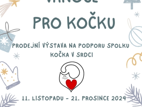 Vánoce pro Kočku