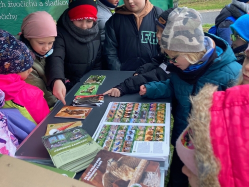 ZŠ a MŠ Helsinská na projektu výstavba dřevin na Sídlišti nad Lužnicí